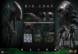 Alien - Big Chap - MMS826 - Hot Toys (7901167648944)