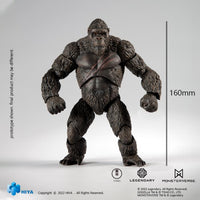 Godzilla - King Kong: Godzilla Vs Kong - Hiya Toys (7337448276144)