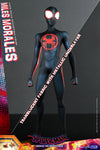 Spider-Man - Miles Morales - Across The SpiderVerse - Hot Toys (7337413378224)