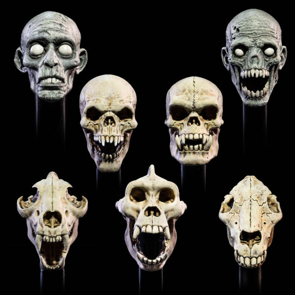 Mythic Legions - Undead Heads Pack - All Stars 6 (7349118697648)