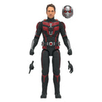 Marvel Legends - Ant Man - Quantumania (7285733621936)