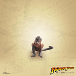 Indiana Jones Adventure Series - Indiana Jones (Cairo) - Raiders of the Lost Ark (7327088378032)