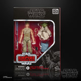 Star Wars The Black Series Luke Skywalker and Yoda (Jedi Training) 6-Inch Action Figures (5545725821096)