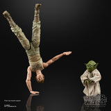 Star Wars The Black Series Luke Skywalker and Yoda (Jedi Training) 6-Inch Action Figures (5545725821096)